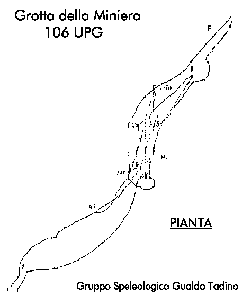 Pianta